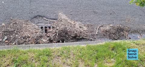 Street Cleaning, a report photo