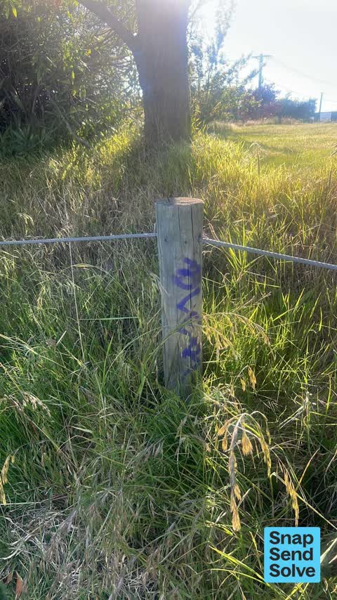Graffiti on a fence, building or structure, a report photo