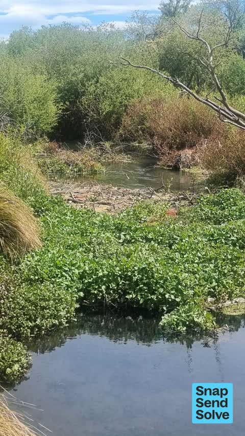 Park - General Request, a report photo