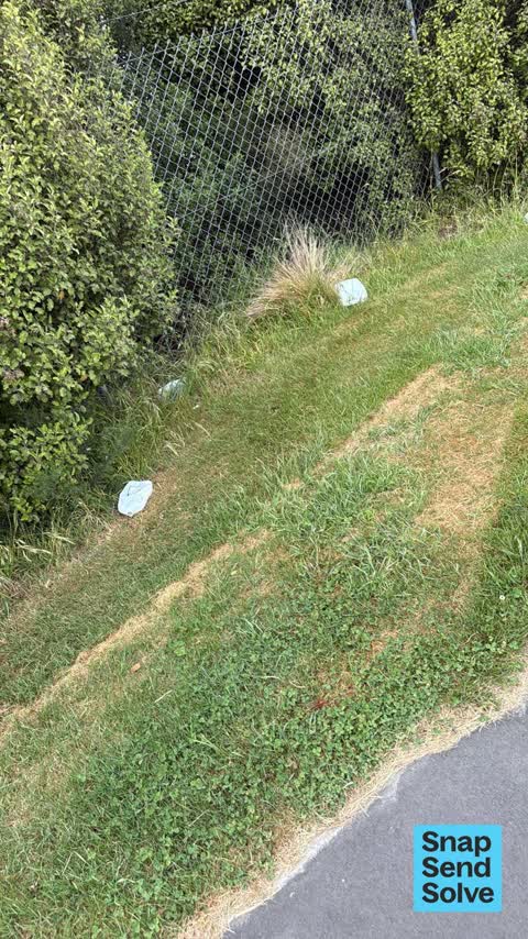 Dumped Rubbish — a report photo