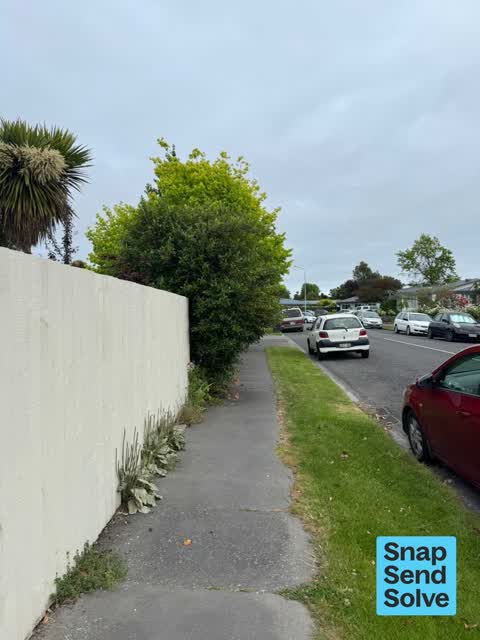 Overgrown Vegetation, a report photo