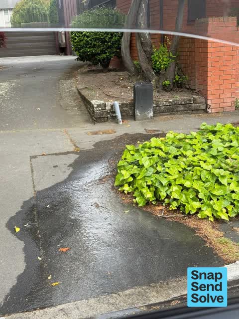 Water Leak, a report photo
