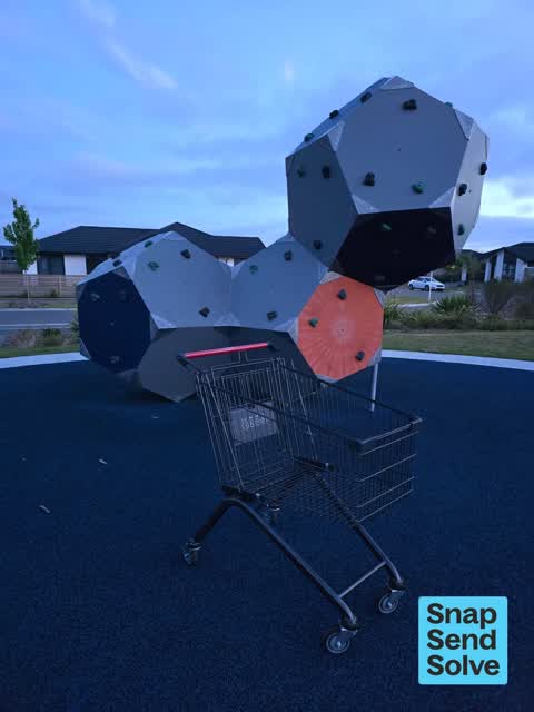 General Request, a report photo