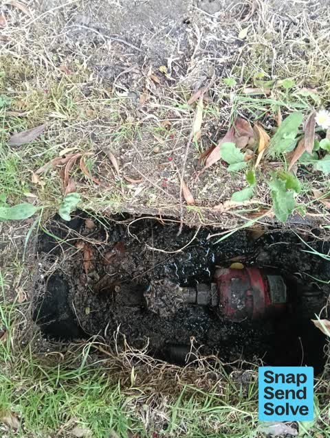 Water General, a report photo