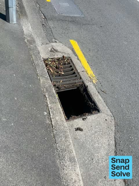 Street Gutters / Storm Water, a report photo