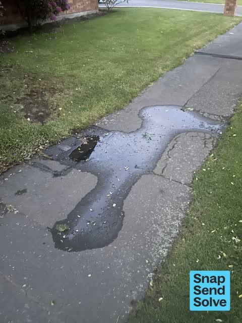 Water Leak, a report photo