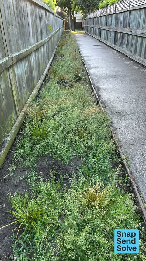 Overgrown Vegetation, a report photo