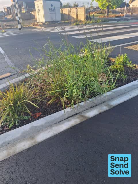 Overgrown Vegetation, a report photo