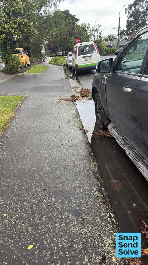 Street Gutters / Storm Water, a report photo