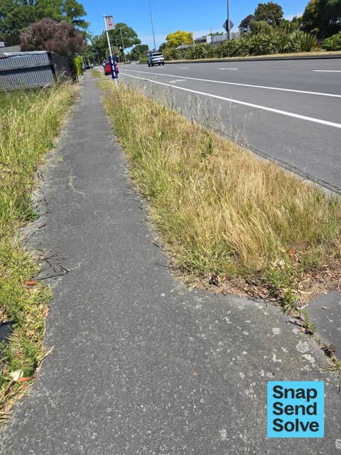 Overgrown Vegetation, a report photo