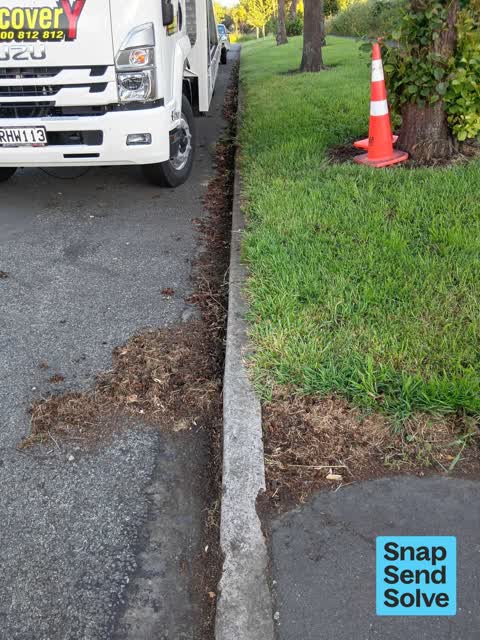Street Cleaning, a report photo
