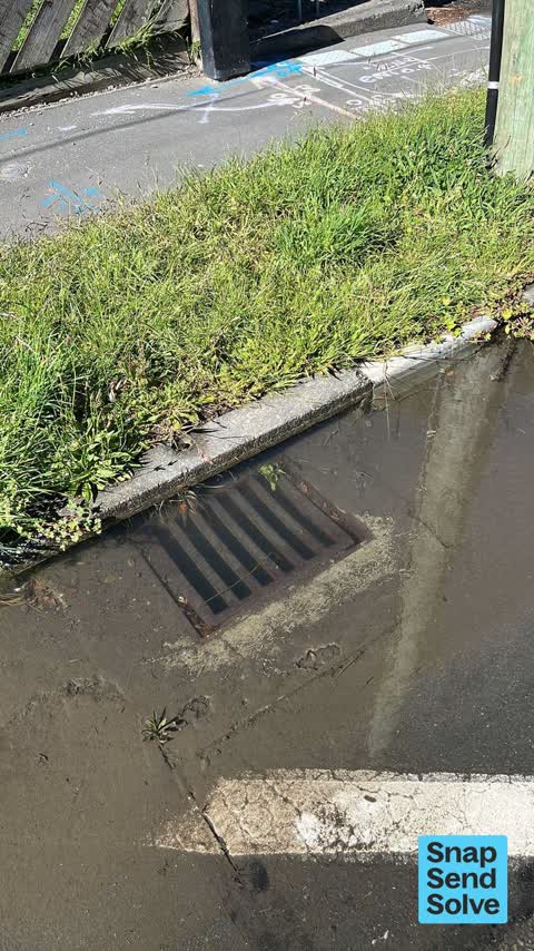 Street Gutters / Storm Water, a report photo