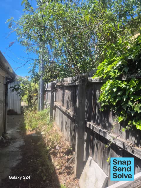 Overgrown Vegetation, a report photo