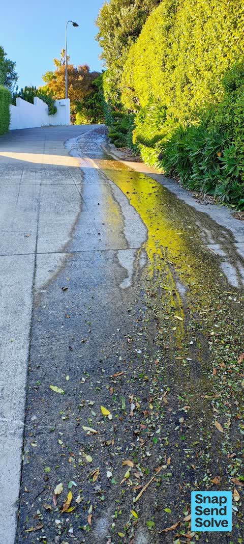 Water Leak, a report photo
