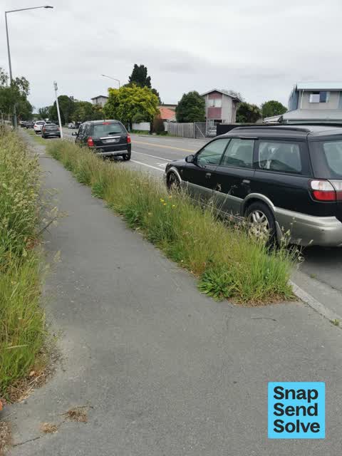 Overgrown Vegetation, a report photo