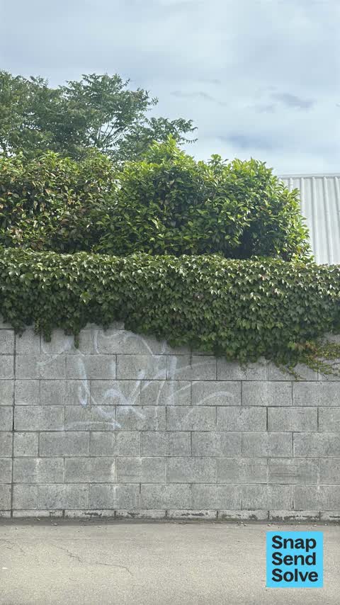 Graffiti on a fence, building or structure, a report photo