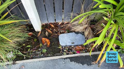 Water Leak, a report photo