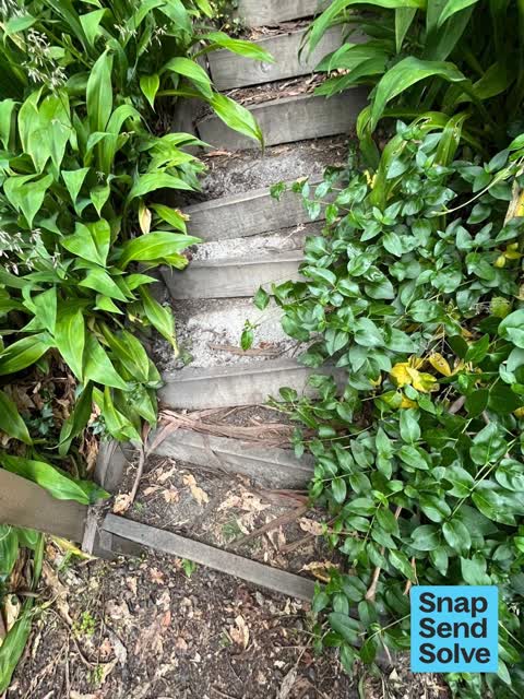 Pavement - Damaged — a report photo