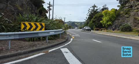 Overgrown Vegetation, a report photo