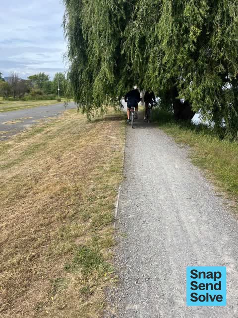 Trees - General, a report photo