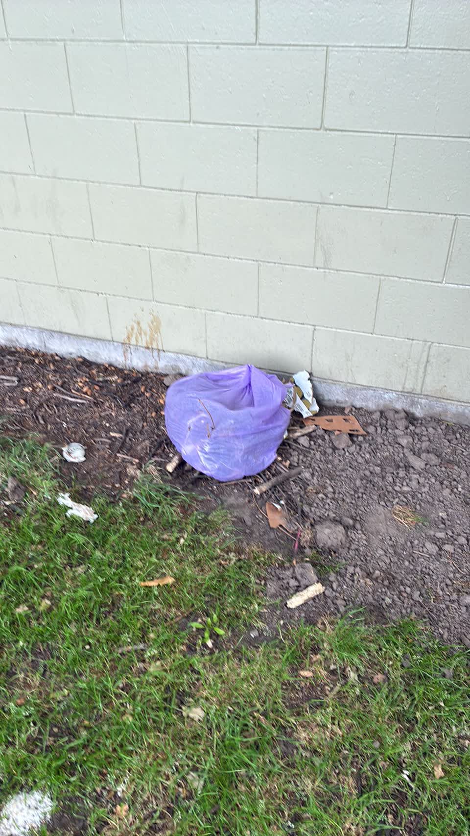 The photograph attached to this dumped rubbish report