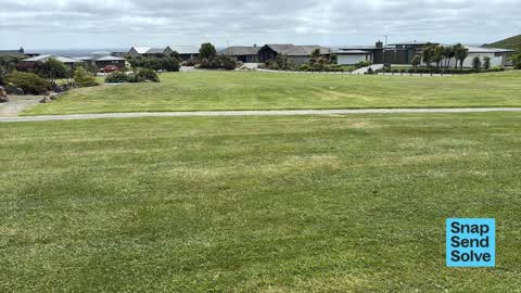 General Request, a report photo