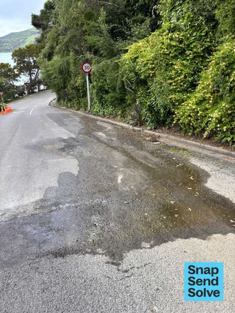Water Leak, a report photo