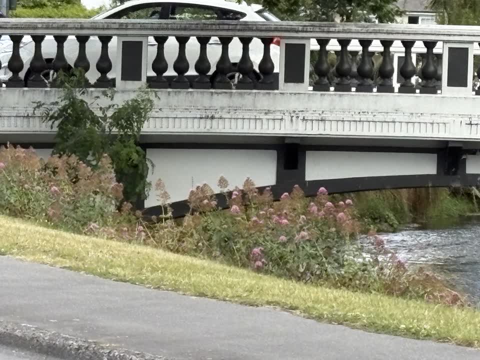 The photograph attached to this overgrown vegetation report