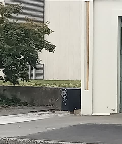 Graffiti on a traffic light pole or cabinet, or wa, a report photo