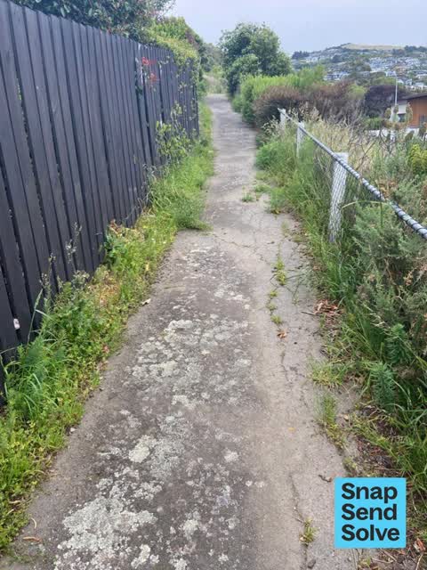 Overgrown Vegetation, a report photo