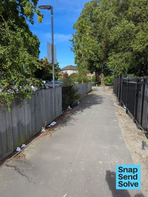 Litter, a report photo
