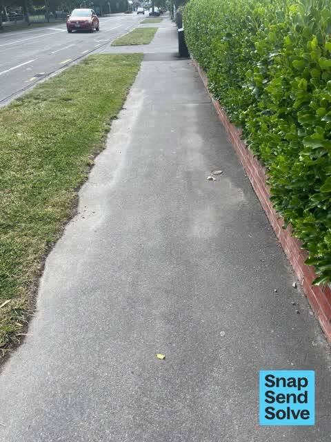 Pavement - Damaged, a report photo