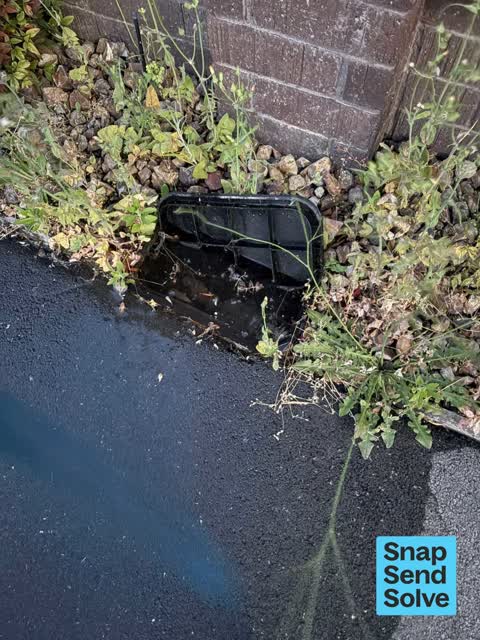 Water Leak, a report photo