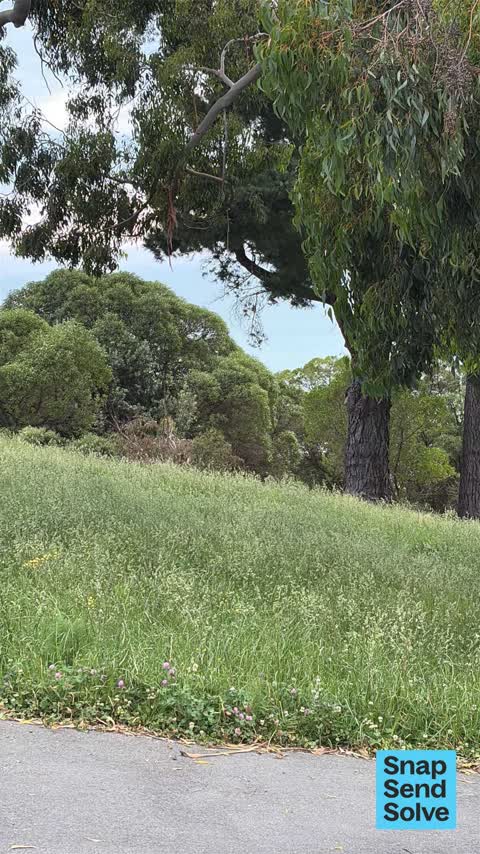 Park - General Request, a report photo