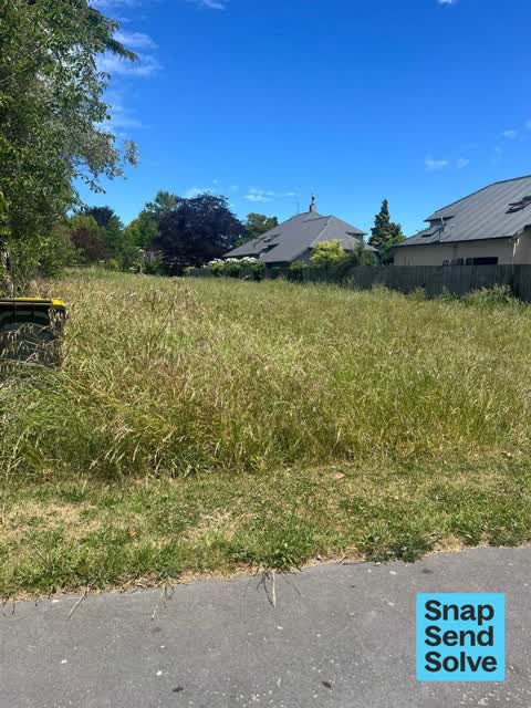 Overgrown Vegetation, a report photo