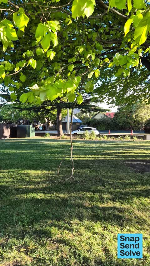 Park - General Request — a report photo