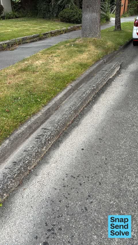 Street Gutters / Storm Water, a report photo