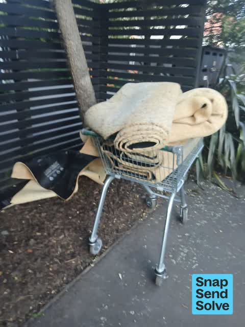 Litter, a report photo