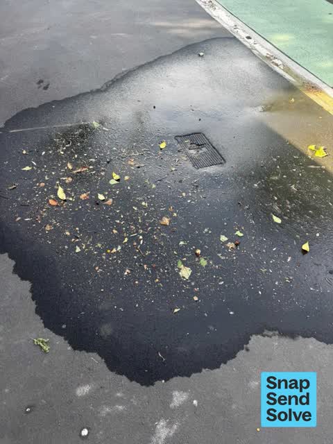 Water Leak, a report photo