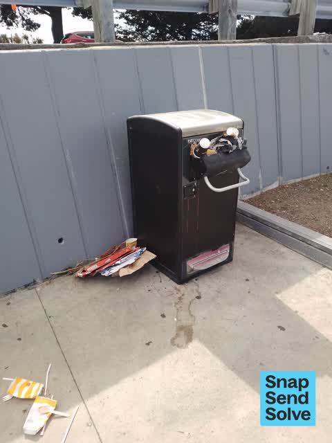 Rubbish and Bins - General — a report photo