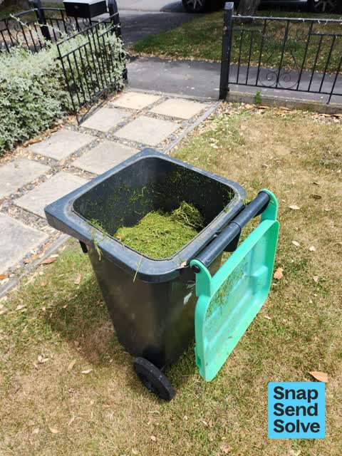 Rubbish and Bins - General, a report photo