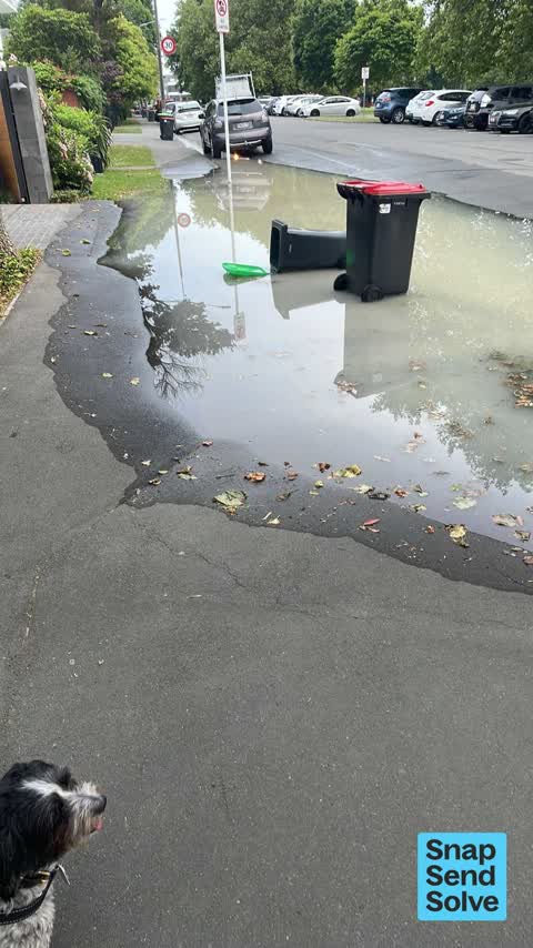 Water Leak, a report photo