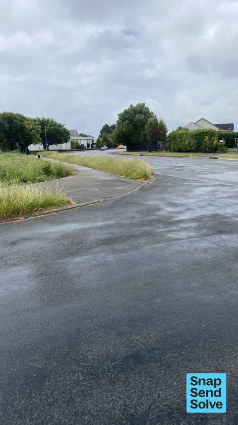 Overgrown Vegetation, a report photo