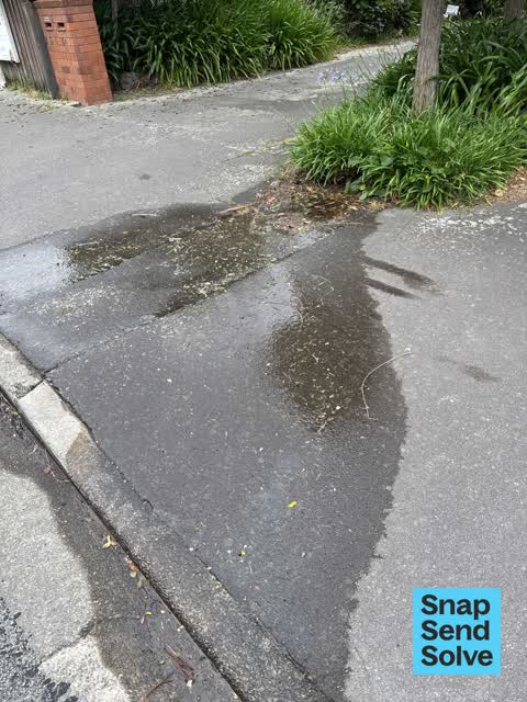 Water Leak, a report photo