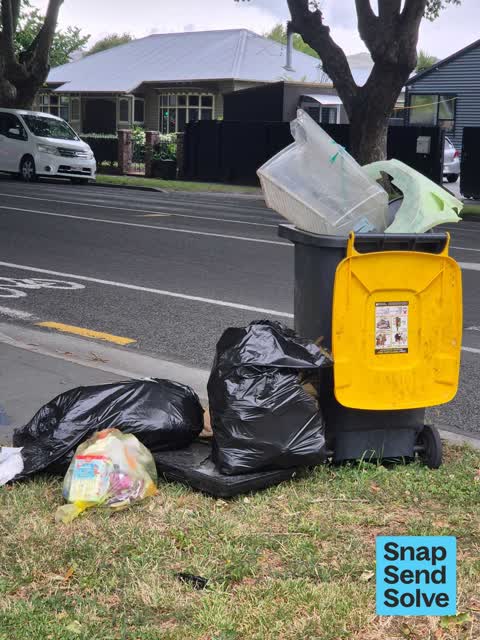 Rubbish and Bins - General — a report photo