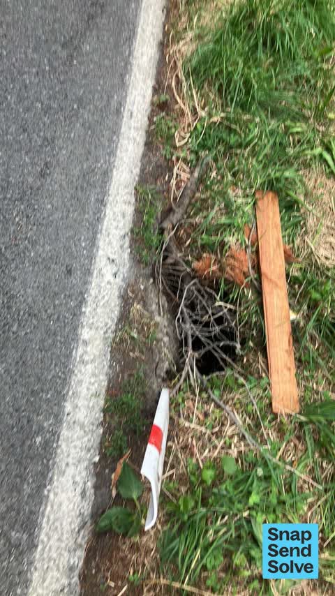Pothole, a report photo
