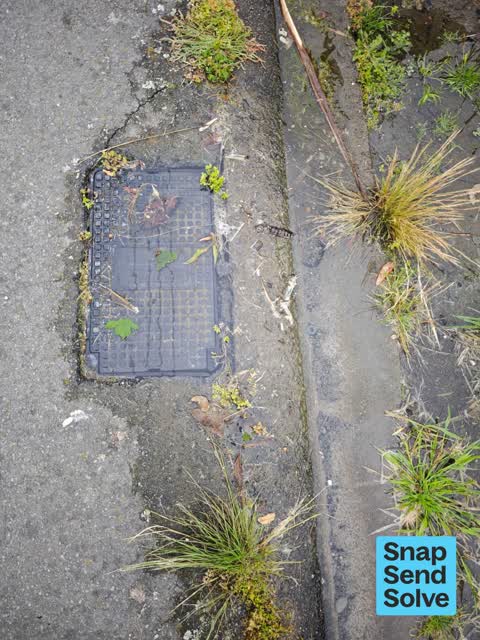 Water Leak, a report photo