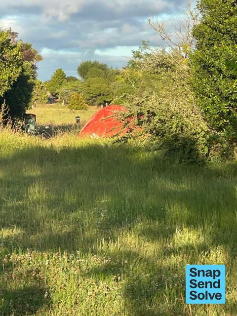 General Request, a report photo