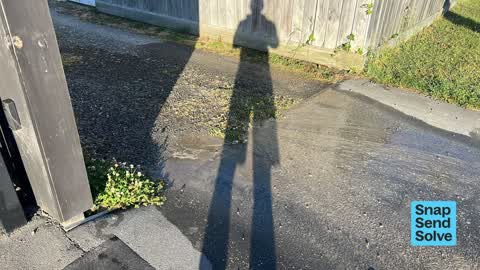 Water Leak, a report photo
