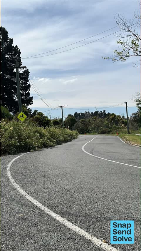 Overgrown Vegetation — a report photo